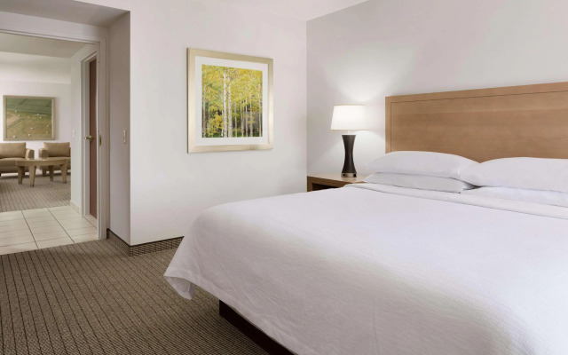 Embassy Suites by Hilton Denver International Airport