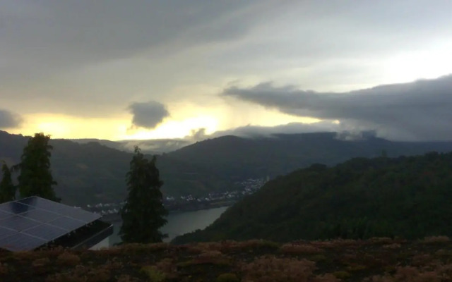 Schau-Rhein#2 - on Top of Bacharach, Rhineview