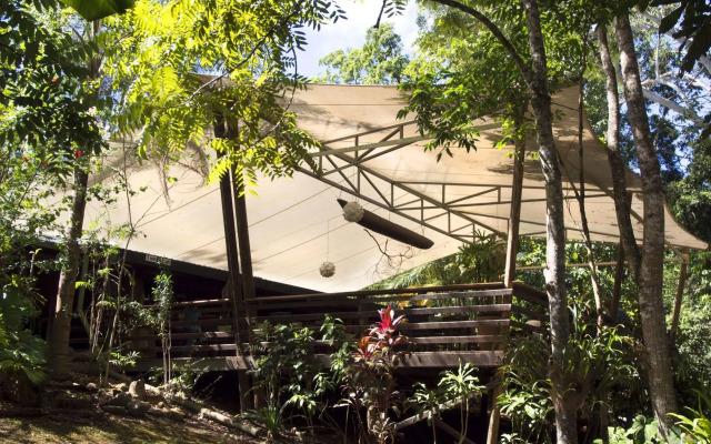 Cedar Park Rainforest Resort