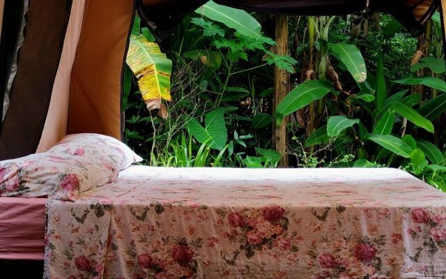 Sitio Simple Life - Hostel