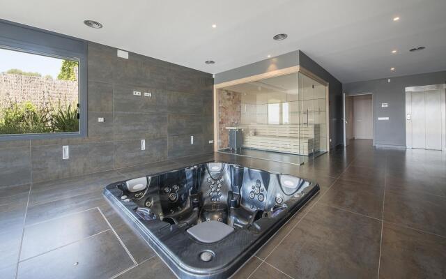 TH85-Limonium-9 in Tarragona