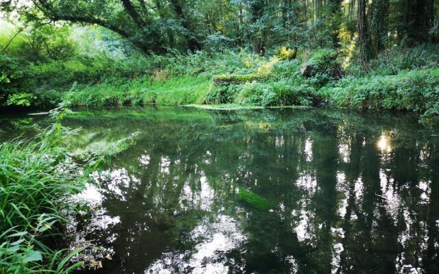 Otter 1 HuntersMoon-Warminster-Longleat-Wiltshire