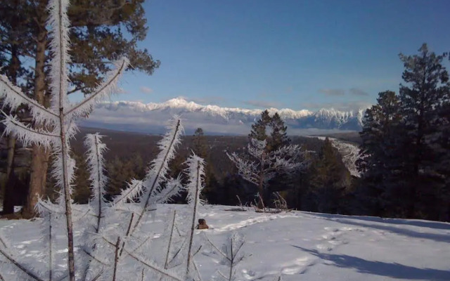 End of the road B & B