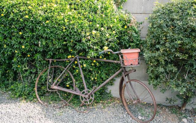 Pennylane Guest House