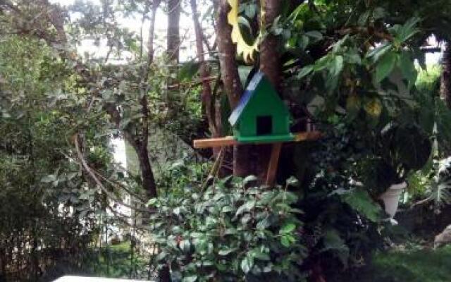 Hostal Chocolate Y Miel