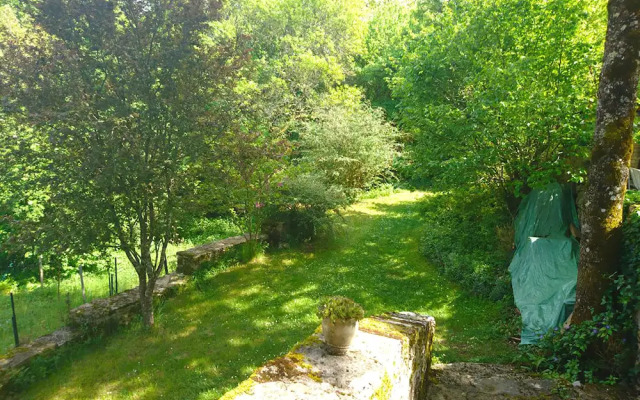 Maison en Pierre avec SPA