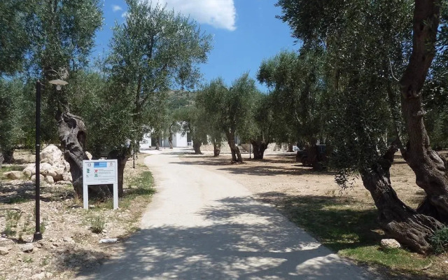 Tenuta Santa Maria