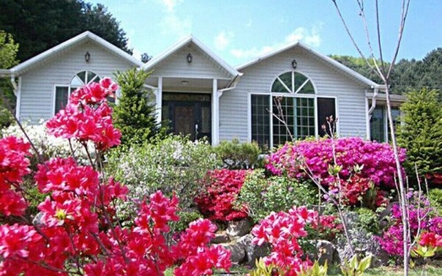 Seasonal Sky Pension