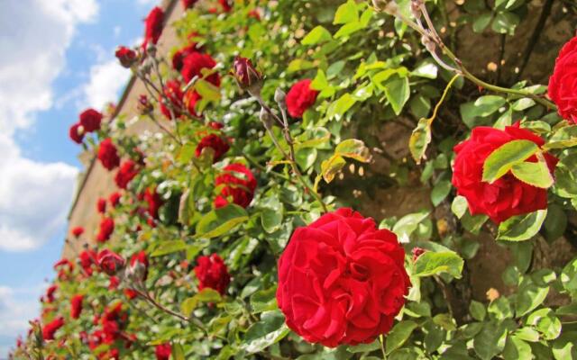 Landhaus im Rinnetal