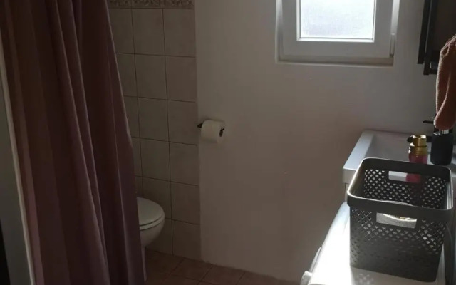 Green Oasis New Apartment