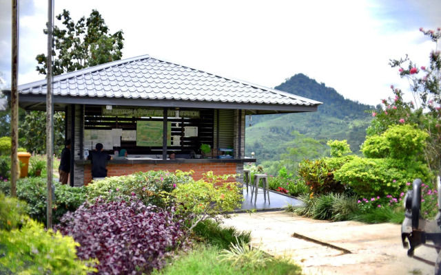 Sabah Tea Garden-Longhouses