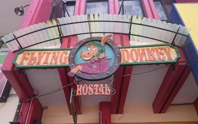 Flying Donkey Hostal - Hostel