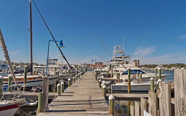 Blue Suede Shoes - 2 Br Condo