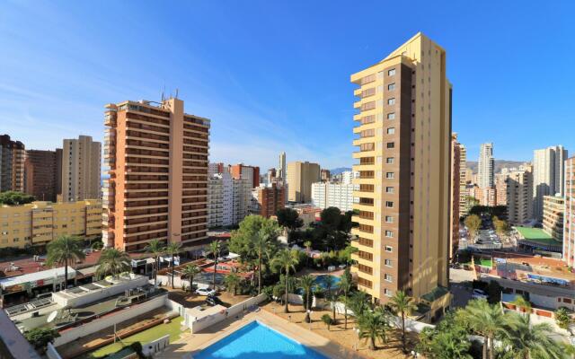 Bermudas 814 in Benidorm