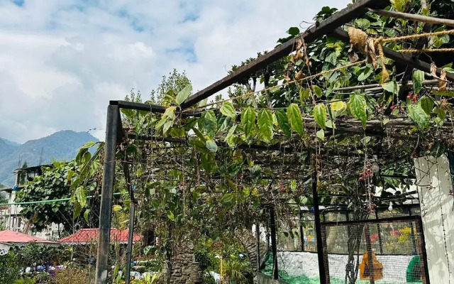 Limboo Homestay