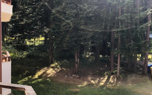 Studio Villa Park Premium