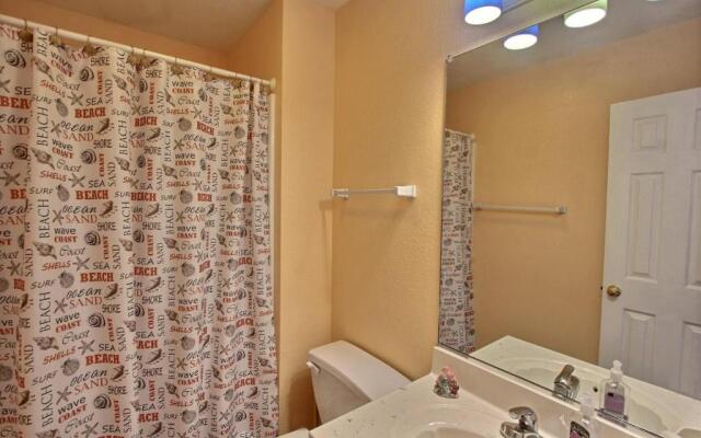 4040 - Paws at the Beach