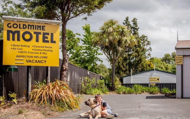 Goldmine Motel