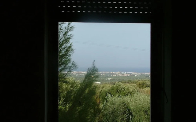Orto degli Ulivi