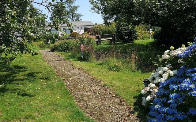 Ael Y Bryn Bed and Breakfast