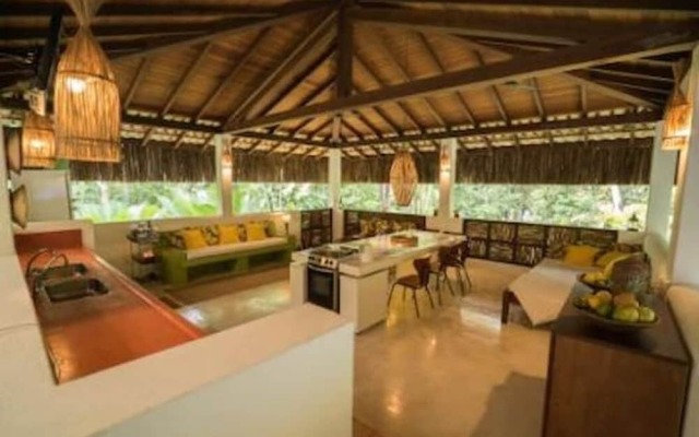 Casa do Arvoredo - casa com serviços