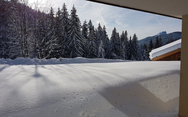 Raiches 2 - ARAVIS Holidays