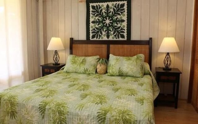 Molokai Vacation Properties - Aala Hale