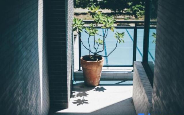 Mambo Boutique Hotel