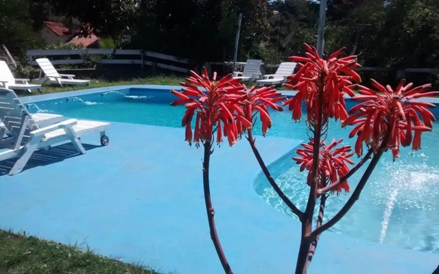 Africa Posada