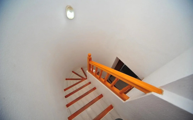 Costa Brasil Orange Costa