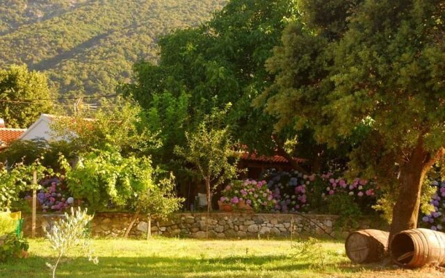 Alekas Studios