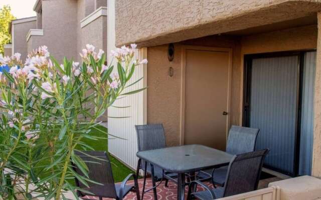 The Stars of Old Town