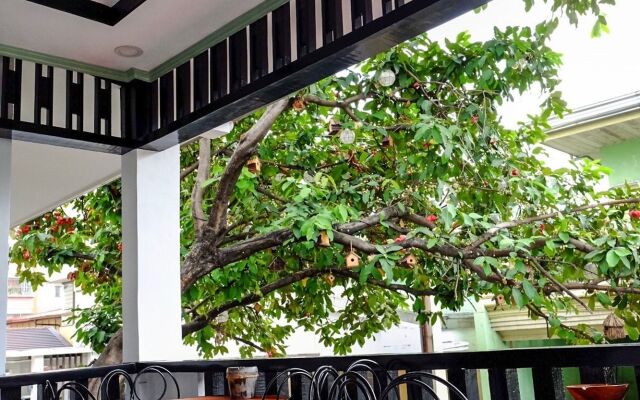Park Avenue Guesthouse 2443
