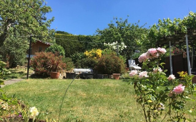 10 Bedroom Home In Glastonbury Beautiful Garden