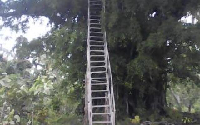 Volcano Horizon Tree House