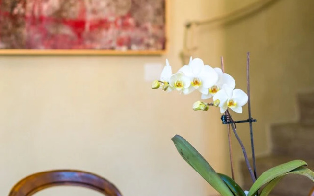 White Lilac romantic B&B adults only