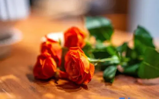 Wanfenglin Linli Mountain Lodge