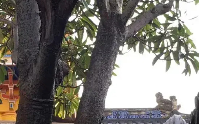 Wuxiangji Inn