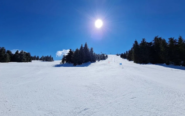 Pino Nero- Apartment