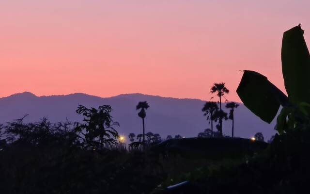 Welcome to our Oasis The Beautiful Bungalow Yellow