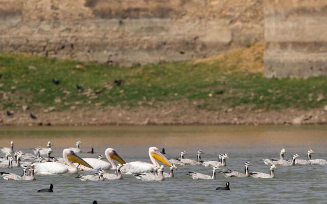 RAAS Chhatrasagar