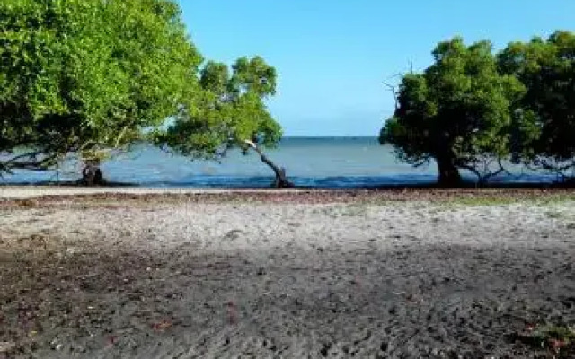 Mida Ecocamp