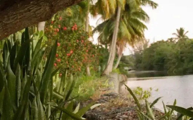 Sea Beach Village