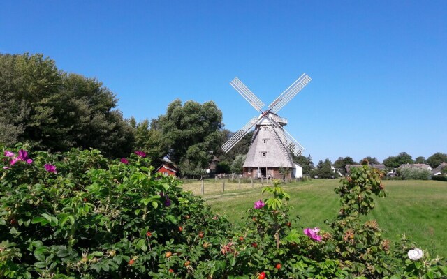 Cushy Apartment in Niehagen With Terrace, Parking, Parasol