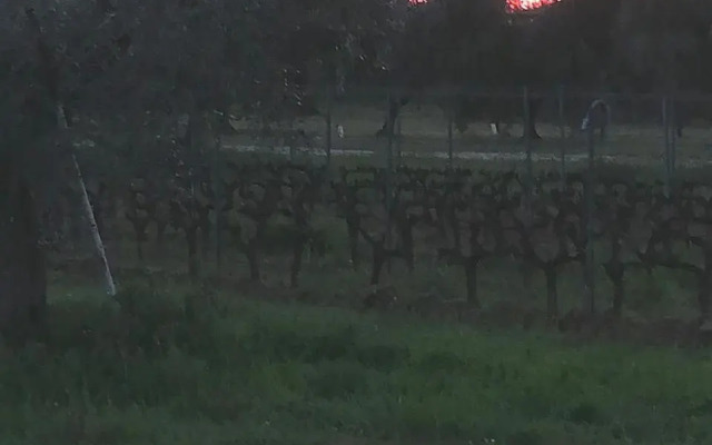 Villetta 3 km dal mare