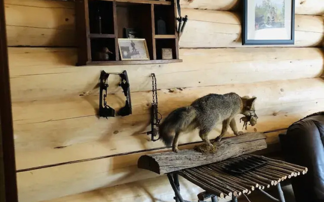 Wrangell Mountain Lodge