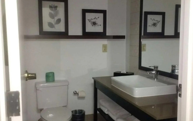 Country Inn & Suites by Radisson, DFW Airport South, TX