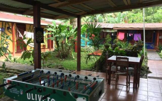 Hakuna Matata Hostel