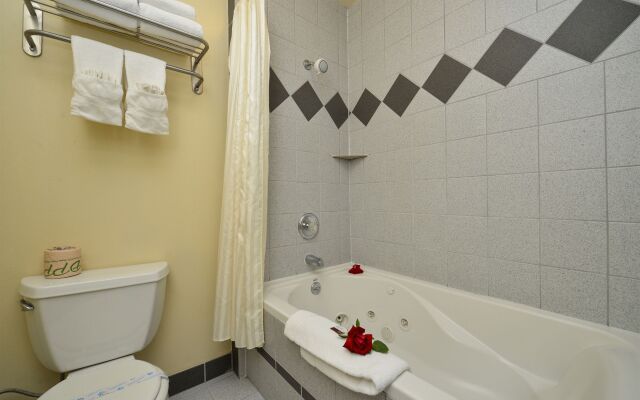 University Inn & Suites