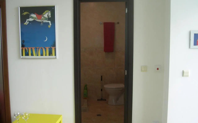 802, spacy apm with sea view.